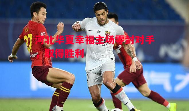 河北华夏幸福主场零封对手，取得胜利