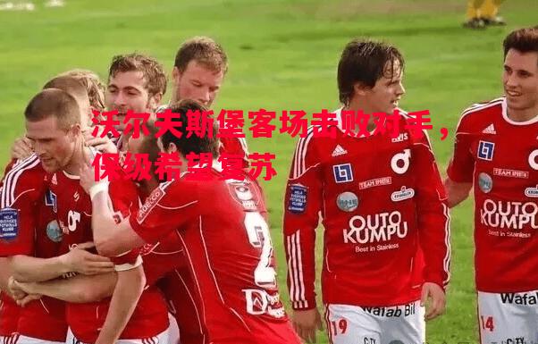 沃尔夫斯堡客场击败对手,保级希望复苏 沃尔夫斯堡客场击败对手,保级希望复苏