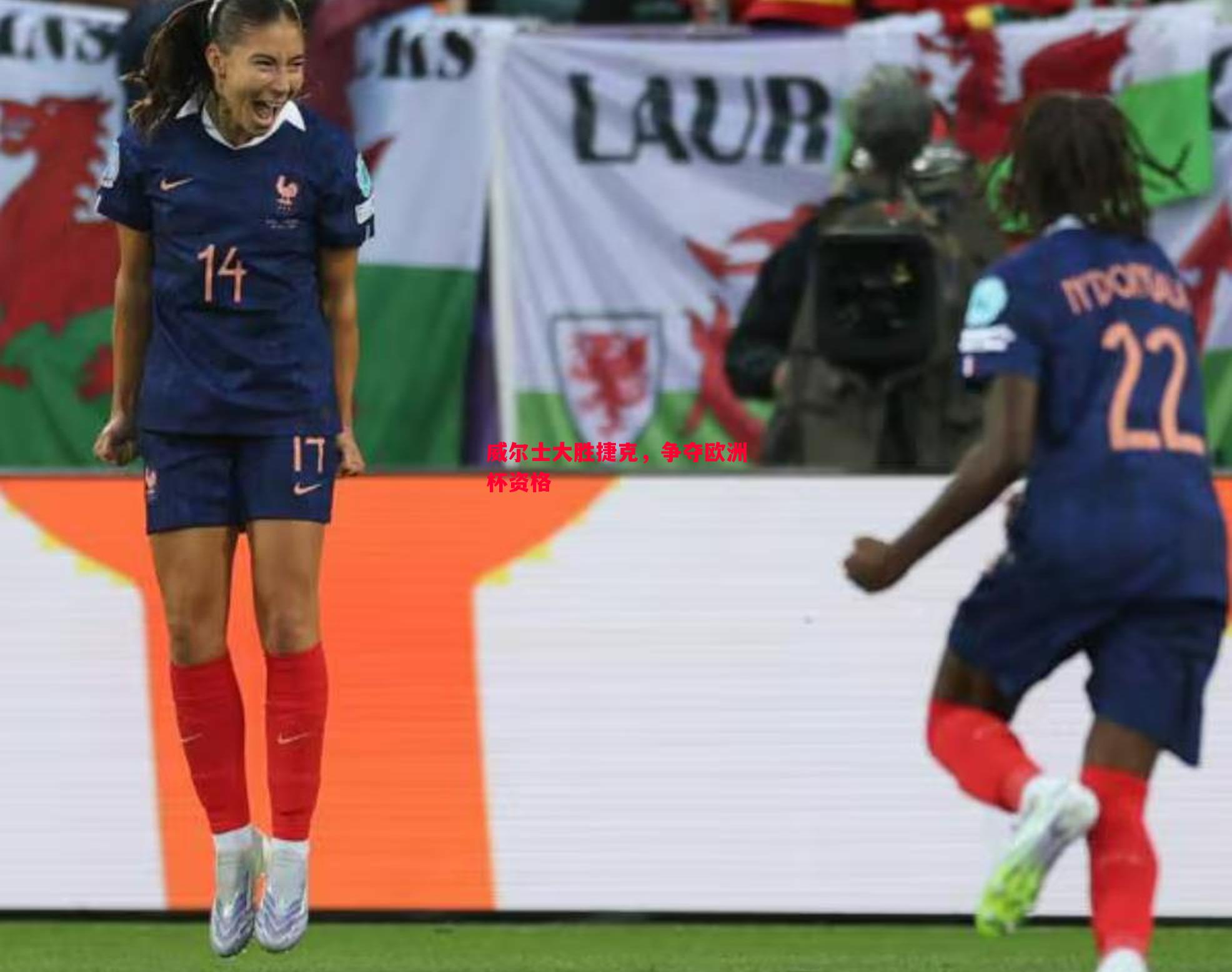 威尔士大胜捷克,争夺欧洲杯资格 威尔士大胜捷克,争夺欧洲杯资格