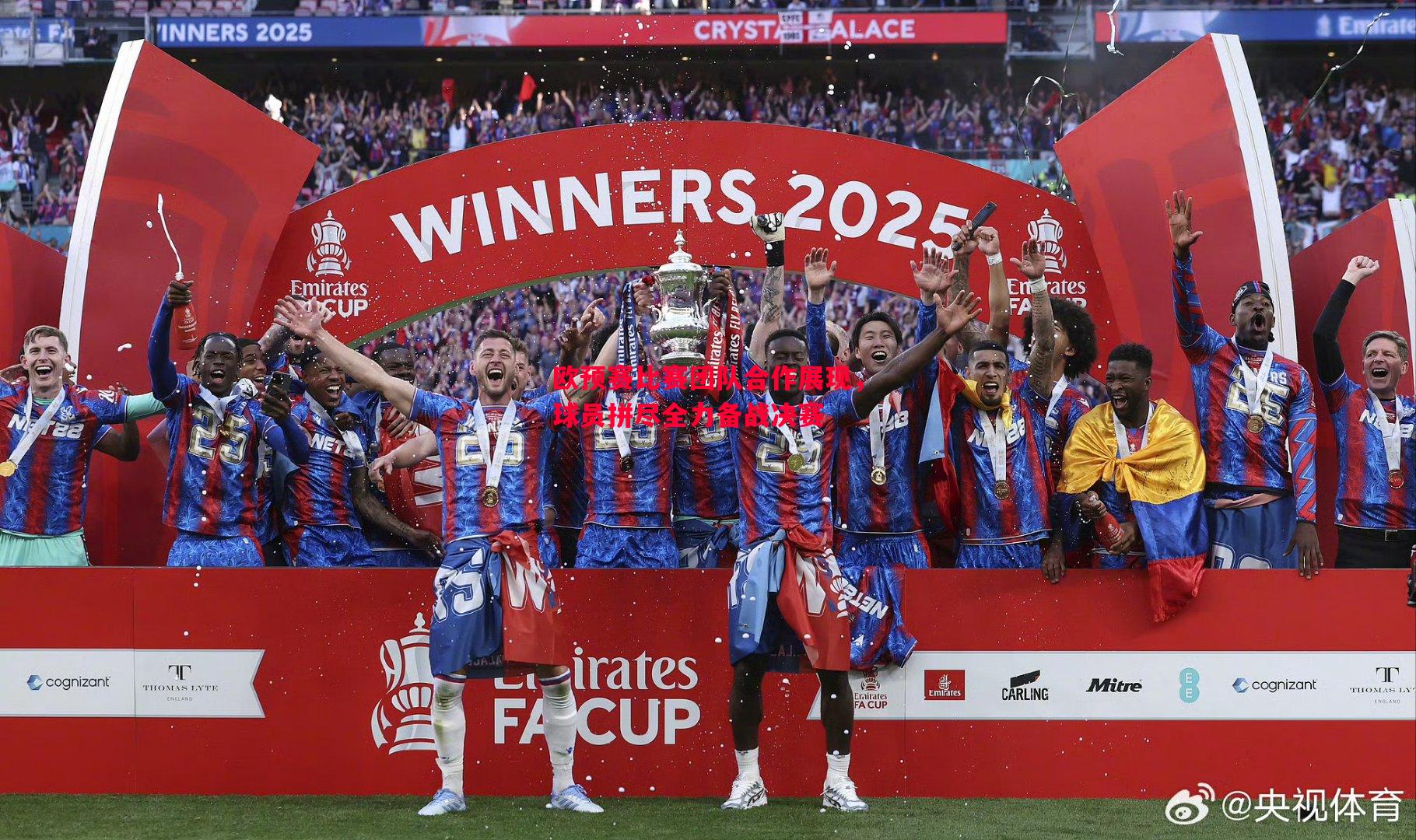 欧预赛比赛团队合作展现,球员拼尽全力备战决赛 欧预赛比赛团队合作展现,球员拼尽全力备战决赛