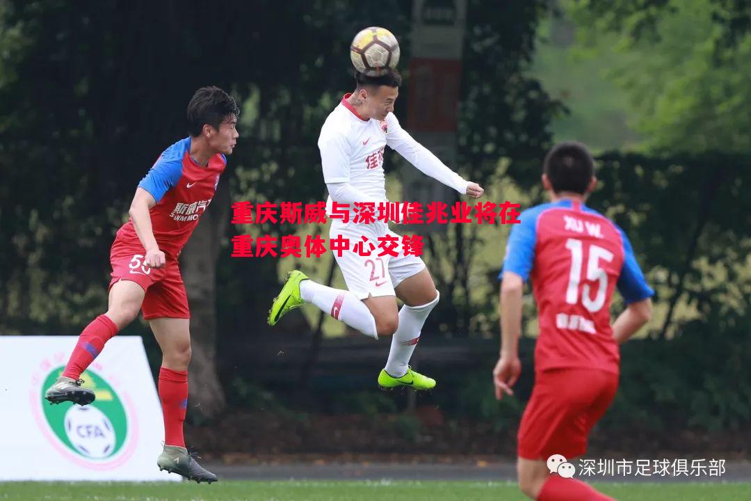重庆斯威与深圳佳兆业将在重庆奥体中心交锋 重庆斯威与深圳佳兆业将在重庆奥体中心交锋